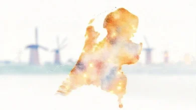 Hollanda'da mühendislik maaşları analizi: Bölgelere göre en çok kazandıran mühendislik pozisyonları ve şehirler.