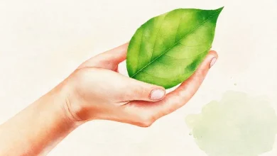 Çalışanlar için sağlık sigortası ödemeleri hakkında bilgi veren belgeler, poliçe ve hesap makinesi.