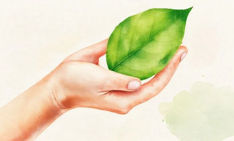 Çalışanlar için sağlık sigortası ödemeleri hakkında bilgi veren belgeler, poliçe ve hesap makinesi.