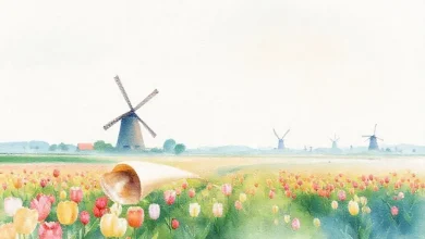 Hollanda diploma denkliği süreci: Adımlar ve gerekenler rehberi.