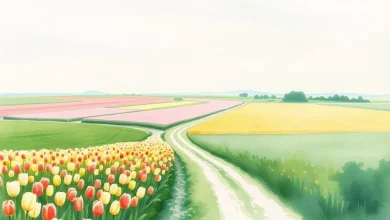 Hollanda sağlık sigortası türleri, poliçe seçenekleri ve karşılaştırmalı analiz gösteren görsel.