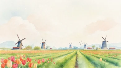 Hollanda'da bulut bilişim uzmanı maaşları, talep durumu ve kariyer fırsatları istatistikleri.