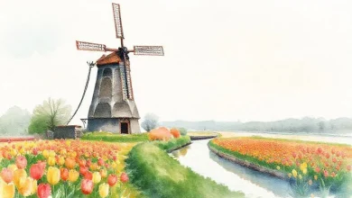 Hollanda'da entegrasyon sürecini kolaylaştıran pratik ipuçları ve faydalı rehberlik.