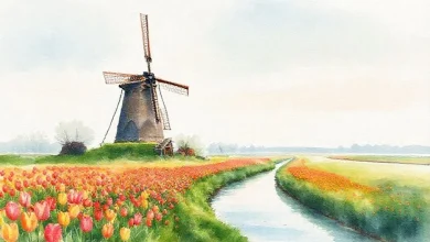 Hollanda'da yaşayanlar için banka seçenekleri karşılaştırması. En uygun bankayı bul.