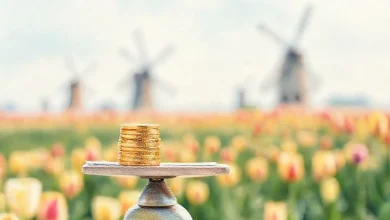 Hollanda'da Yatırım Gelirlerinin Vergilendirilmesi